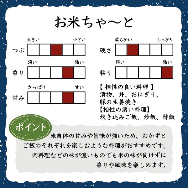 新米 令和5年産米 5kg コシヒカリ 新潟 送料無料 あすつく 美味しい お米  新潟県産 こしひかり 産直 白米 おいしい お米