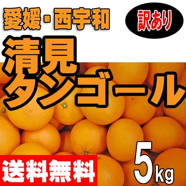 愛媛西宇和産　清見　訳あり家庭用　５ｋｇ送料無料　産地直送