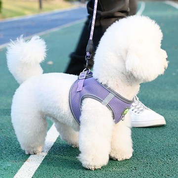 【現 🔥 貨】免運 📣背心式小型犬泰迪比熊博美反光胸揹帶遛狗牽引繩狗狗胸背透氣背心FUE