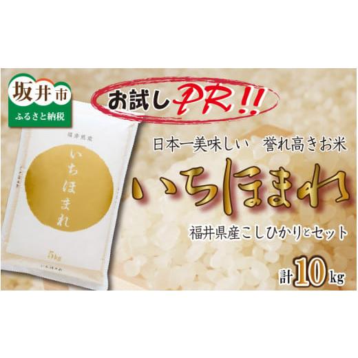 ふるさと納税 福井県 坂井市 福井県産 いちほまれ ＆ コシヒカリ 計10kg [A-3281]