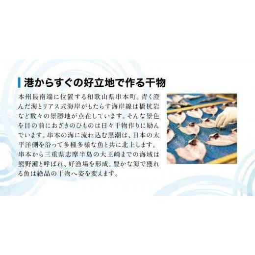 ふるさと納税 和歌山県 串本町 たっぷり25点以上！おざきのひもの「おまかせスペシャルセット」