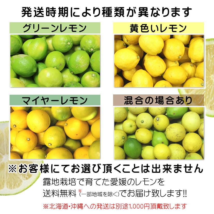 訳あり国産 レモン約10kg 愛媛県産 ワックス・防腐剤不使用 れもん 北海道・沖縄送料別途1000円