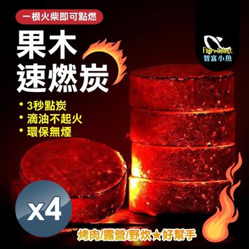 【小魚嚴選】三秒速燃果木炭33mm 4盒400片