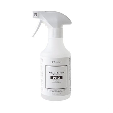 Arnest 車用PRO除泛黃/去鐵粉去除劑  300ml  1瓶