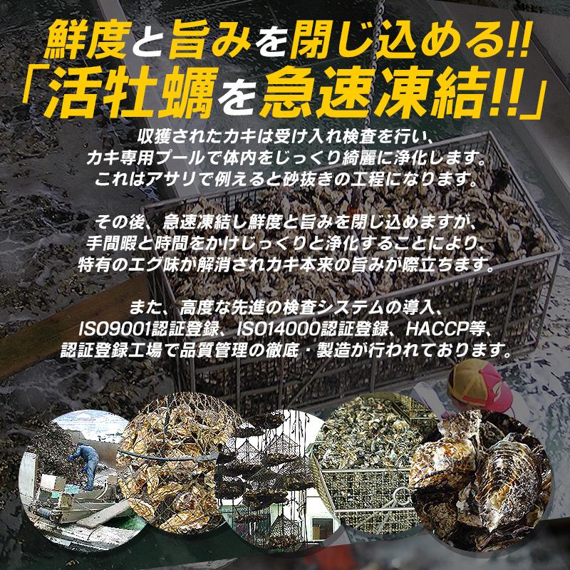 カキ かき 牡蠣 一斗缶 カンカン焼き 殻付き 3kg 牡蠣カンカン焼き 冷凍 軍手＆牡蠣ナイフ付き 瀬戸内海産 お歳暮 ギフト