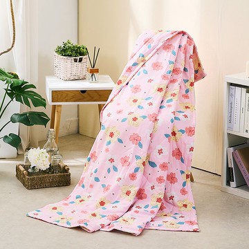 涼被 / Cool-Fi科技涼感 / 空氣涼感被 / 甜戀雪梅 台灣製