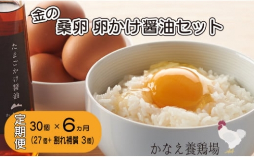 卵 鶏卵 たまご 定期便 新鮮 30個 たまごかけ醤油セット 金の桑卵