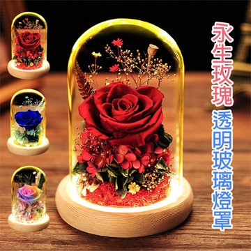 【24HR】永生花 玻璃罩 夜燈 真花 玫瑰 永生玫瑰玻璃罩 乾燥花 永生花小夜燈 交換禮物 女友生日 520情人節禮物