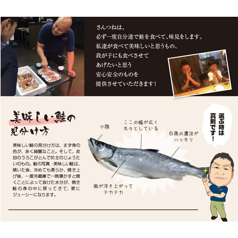 沖獲り紅鮭　一尾（約2.5kg）  鮭 サケ さけ サーモン 天然 紅サケ 紅さけ ギフト プレゼント 贈答 お祝い