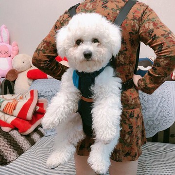 攜寵物胸前背包 透氣寵物前後背包 貓咪背包 狗狗背包 貓咪外