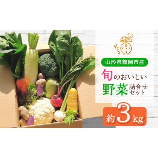 ふるさと納税 山形県 鶴岡市 旬のおいしい野菜詰合せセット 約3kg　やさいろ