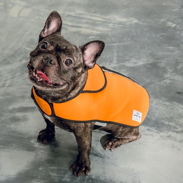 法鬥專區_Lockwood抗風防水外套_防臭/抗風保暖/寵物雨衣