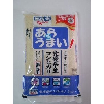 無洗米 あらうまい コシヒカリ １０ｋｇ(５ｋｇ×２袋) 令和５年愛媛県産精米