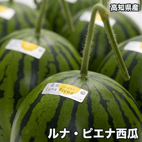 スイカ 西瓜 小玉 送料無料 高知県産 ルナピエナ 西瓜 約2kg以上 夜空 TVで紹介された貴重な西瓜