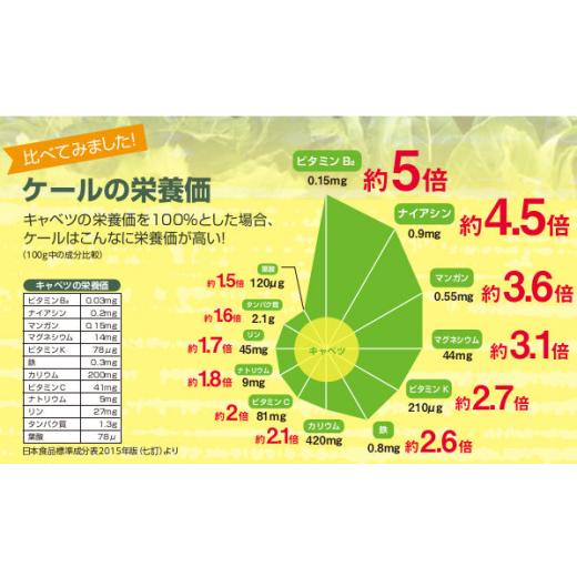 ふるさと納税 新潟県 糸魚川市 ケール入りパスタ　10袋