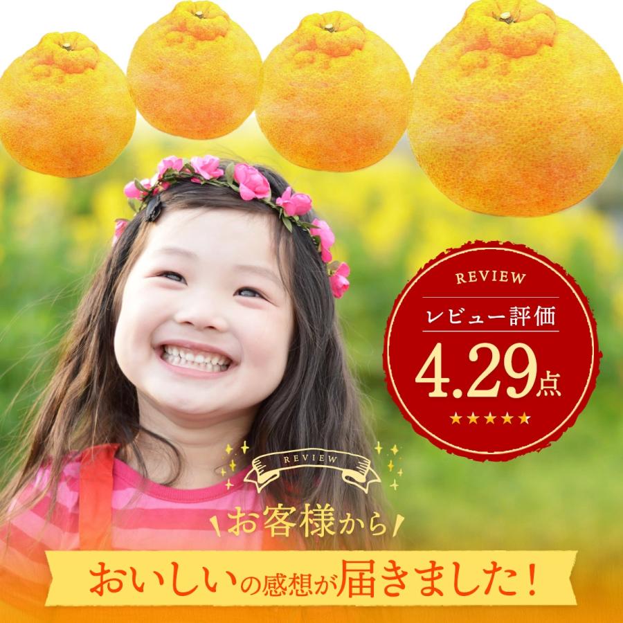 デコポン 熊本県産 秀品 2kg 7-10玉 糖度13度以上 光センサー選果 高糖度 濃厚 贈り物 贈答 ギフト プレゼント お土産 先行予約 常温便