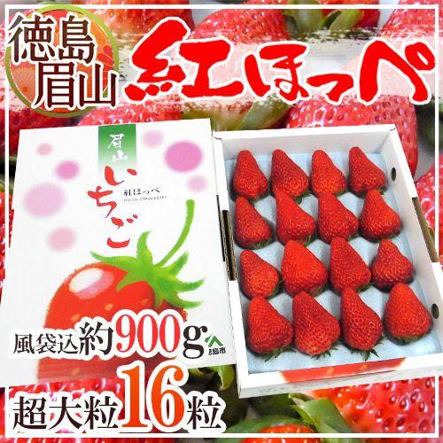 徳島県 ”眉山産紅ほっぺ” 超大粒 16粒入り 化粧箱 いちご 送料無料