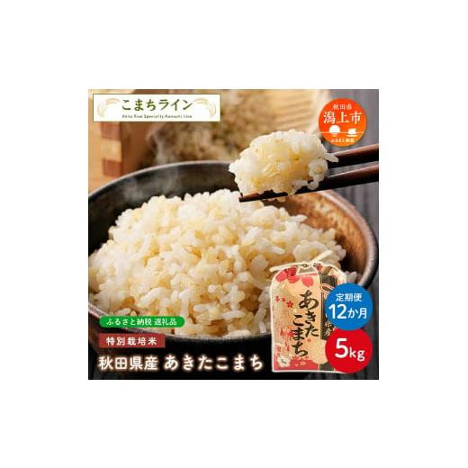 ふるさと納税 秋田県 潟上市 令和5年産 秋田県産 あきたこまち特別栽培米5kg×12か月