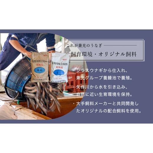 ふるさと納税 愛知県 西尾市 炭火手焼き 愛知県三河一色産　うなぎ蒲焼き　特大　2尾（1尾あたり186g以上）・U037