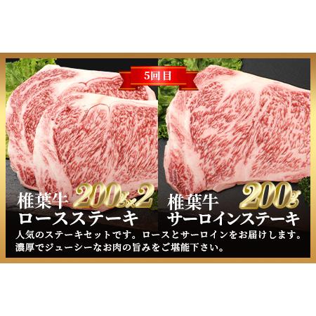 ふるさと納税 総重量3.5kg！椎葉牛オールスター定期便≪ローストビーフ・切り落とし・焼き肉・スライス・ステーキ≫ 宮崎県椎葉村