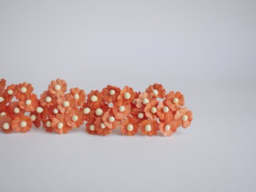 紙花，耗材，100 件。加拿大海葵，尺寸1.5厘米，橘色