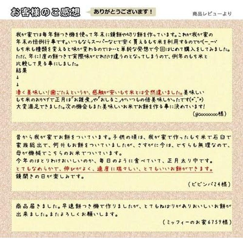 食品 新潟県産 白米 こがねもち米 25kg (5kg×5袋) 令和4年産