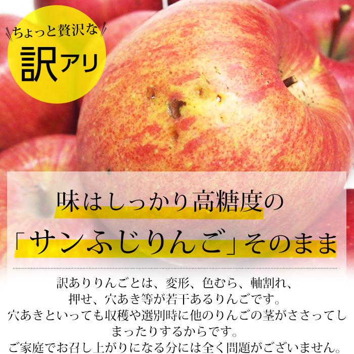 りんご 青森県産 サンふじ 訳あり 約5kg 16〜20玉