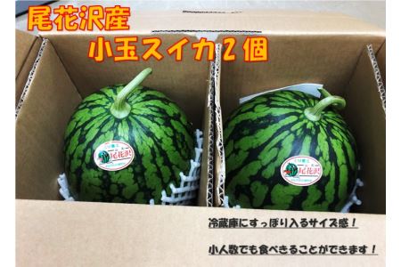 先行予約 スイカ すいか 尾花沢産小玉スイカ 約2〜4kg×2玉 7月中旬～8月上旬頃発送 尾花沢 スイカ すいか 小玉すいか 令和6年産 2024年産 観光物産 kb-sukxx2-7b