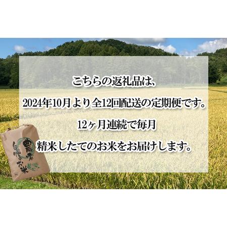 ふるさと納税 ＜ 予約 定期便 全12回 ＞ 北海道産 希少米 おぼろづき 白米 5kg ＜2024年10月より配送＞ 北海道新ひだか町