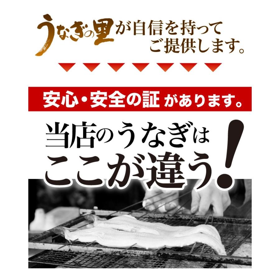 うなぎ蒲焼き 鹿児島県 国産 きざみ蒲焼き20食 山葵×20 きざみ海苔×20 うなぎの里 鹿児島産 グルメ クール