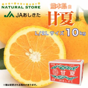 [予約 2月1日-2月28日の納品] 甘夏 あまなつ 甘夏みかん 夏みかん 10kg L 2L 熊本県 冬ギフト お歳暮 御歳暮