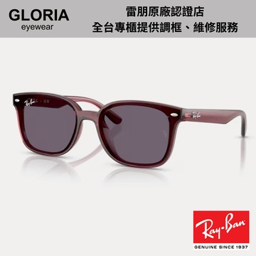 Ray Ban｜RB4461D-659373 方形膠框太陽眼鏡