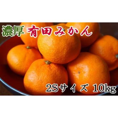 ふるさと納税 和歌山県 有田川町 和歌山有田みかん約10kg(2Sサイズ) ★2023年11月中旬頃より順次発送