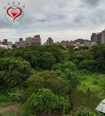 橋子頭一段農地｜新北市鶯歌區橋子頭一段