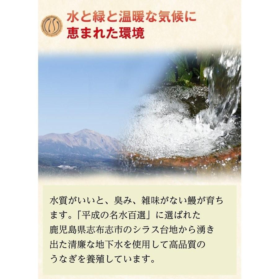 ポイント5倍 母の日 プレゼント グルメ うなぎ 鹿児島産ブランド鰻 うなぎの里 極上特大蒲焼き5本 ギフトBOXセット クール