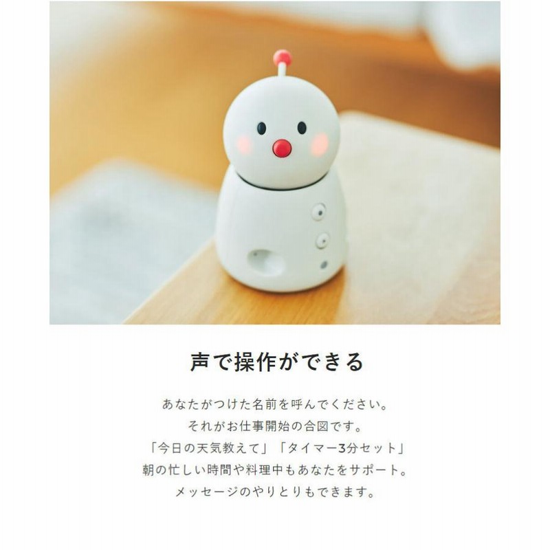 見守り ロボット 留守番 コミュニケーション BOCCO emo ボッコ エモ