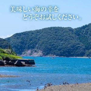 ふるさと納税  国産　あおさのお味噌汁 (25食) あおさ 海藻 味噌汁 おみそ汁 生みそ インスタント 常温 大分県 佐伯市 防災【安部水産 (.. 大分県佐伯市