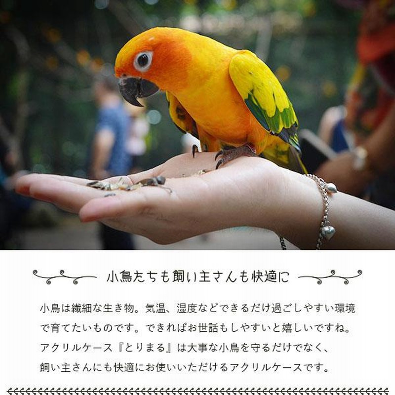 鳥かご アクリルカバー とりまる Mサイズ アクリルケージ 防寒
