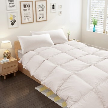 Margaery 100%天然水鳥羽絨被冬被  白色  單人