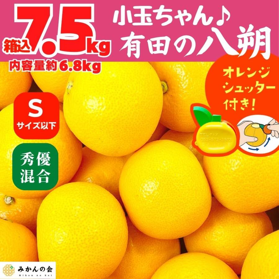 八朔 (はっさく) 小玉ちゃん 箱込 7.5kg(内容量約 6.8kg) 秀品 優品 混合 Sサイズ以下 和歌山県産  産地直送