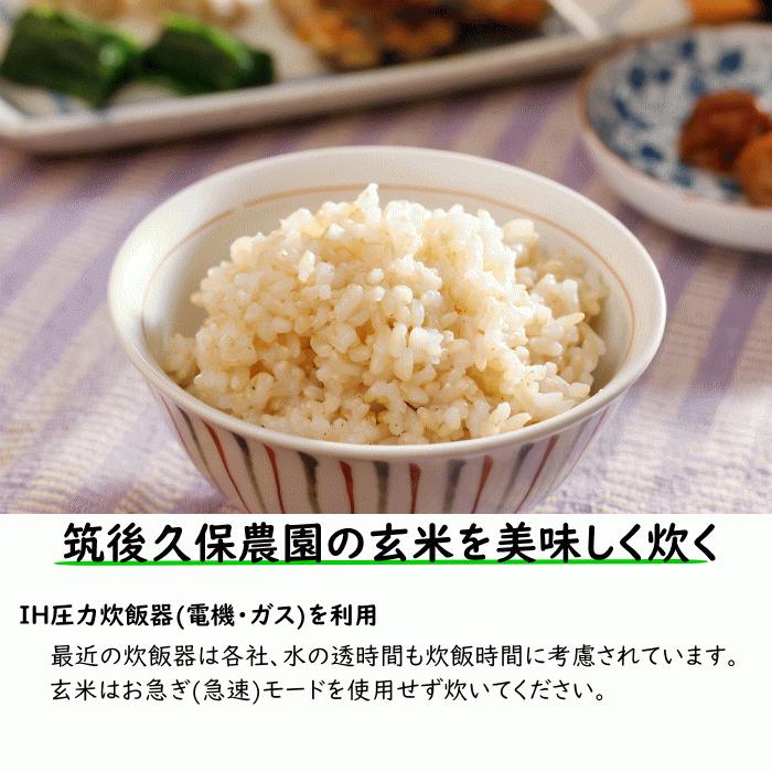 無農薬米 ヒノヒカリ 令和5年産 白米 4kg 福岡県筑後市産 - 米・雑穀・粉類