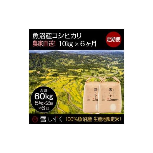 ふるさと納税 新潟県 十日町市 定期便！魚沼産コシヒカリ毎月10kg×6回