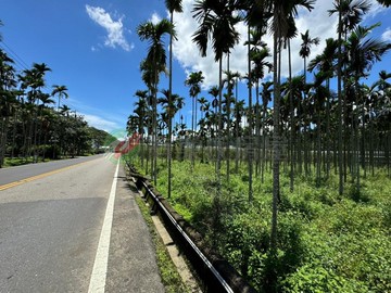 南投國姓大長路上台21線大面寬方正平坦農地｜南投縣國姓鄉水長流段