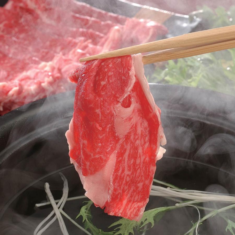 宮崎牛しゃぶしゃぶ 肩ロース600ｇ 牛肉   お取り寄せ お土産 ギフト プレゼント 特産品 お歳暮 おすすめ  