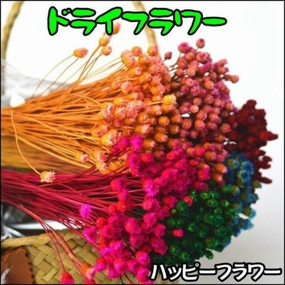 押し花キット はじめてさん 押し花絵キット ブーゲンビリアの花束 通販 Lineポイント最大0 5 Get Lineショッピング