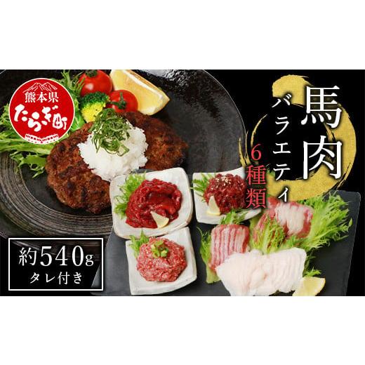 ふるさと納税 熊本県 多良木町 6種 馬肉 バラエティ 約540g タレ付き 食べ比べ 冷凍 馬刺し 熊本県 本場 【 馬肉の刺身 生食 刺身 お刺身 …