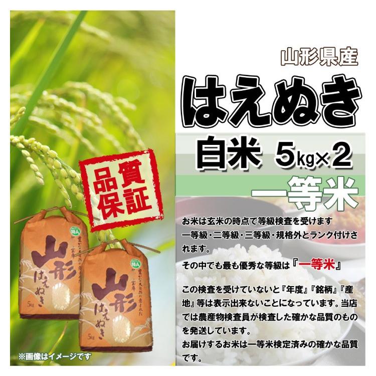 白米 10kg (5kg×2) 山形県産 はえぬき 米 お米 精米済 令和5年（送料無料）