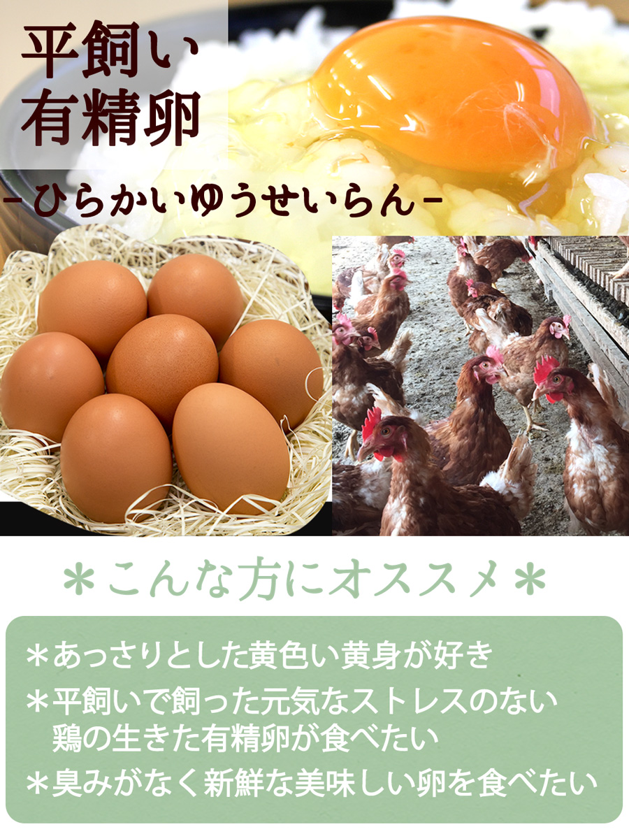 卵 新鮮たまご2種選べるお試しセット〔生卵合計30個入(生卵25個 破損保証5個)〕 玉子 高級 卵かけご飯