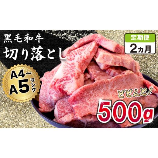 ふるさと納税 徳島県 阿波市  焼肉 定期便 2回 切り落とし 牛肉 500g 黒毛和牛 冷凍