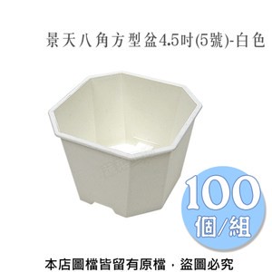 景天八角方型盆4.5吋(5號)-白色 100個/組
